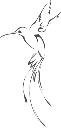 Symbolbild: Kolibri