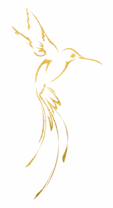 crea la vie logo bird